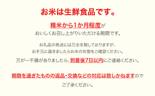 米 コメ 20kg 5kg×4 雪若丸 新米 精米 令和5年産 2024年4月中旬 ja-ywxxa20-s4b