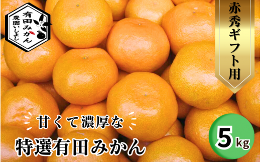 有田 みかん 特選 赤秀 5kg 【 創業120年 農家直送 】 / 温州みかん 有田みかん 甘い ギフト 贈答 高級 和歌山 柑橘 ※11月より順次発送予定 【isy004-gif-5B】