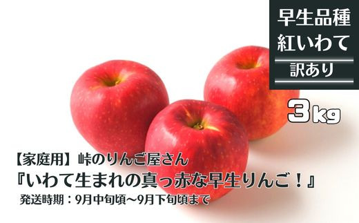 【家庭用】峠のりんご屋さん  紅いわて 3kg（10～12 玉入り）旬りんご