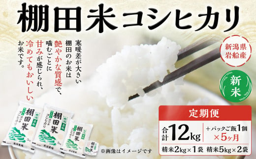 【新米受付・令和6年産米】【定期便：5ヶ月連続でお届け】新潟県岩船産  棚田米コシヒカリ 12kg+パックごはん(150ｇ×1個)×5ヶ月 NE4047 毎月 新米予約 お米 白米 こしひかり 精米 村上市