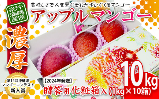 2024年発送】沖縄県糸満産の「濃厚アップルマンゴー」10kg！（1kg×10箱
