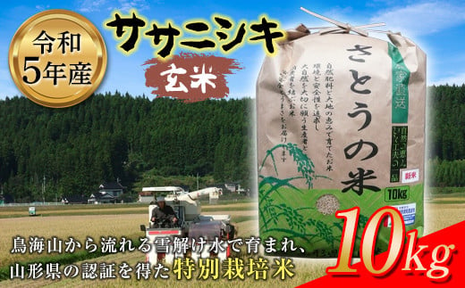 令和5年産 ササニシキ 玄米 10kg 特別栽培米 F2Y-3650 1081966 - 山形県山形県庁
