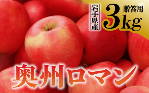 【先行予約】令和6年産 りんご 奥州ロマン 贈答用 3kg 岩手県 金ケ崎町産 10月中旬発送予定 1051207 - 岩手県金ケ崎町