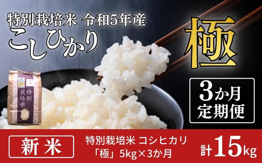 定期便5kg×3か月] 特別栽培米 コシヒカリ 「極」 5kg×3か月 新米 計 ...