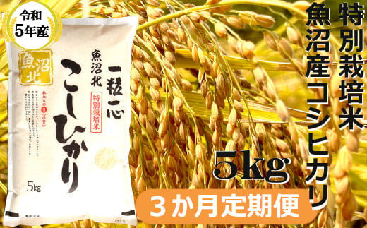 r05-30-4G 【令和5年産】特別栽培米 魚沼産コシヒカリ5kg（3か月定期便