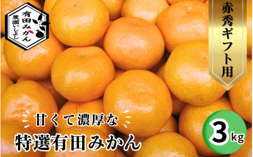 有田 みかん 特選 赤秀 3kg 【 創業120年 農家直送 】 / 温州みかん 有田みかん 甘い ギフト 贈答 高級 和歌山 柑橘 ※11月より順次発送予定 【isy004-gif-3B】