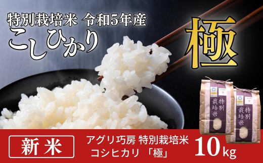 新米 特別栽培米 コシヒカリ 「極」 10kg (5kg×2袋) 令和5年産米