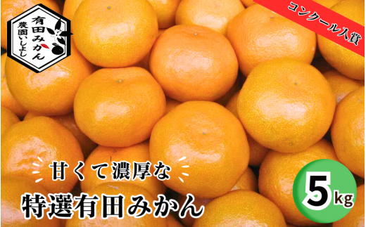 有田みかん」のふるさと納税 お礼の品一覧【ふるさとチョイス】