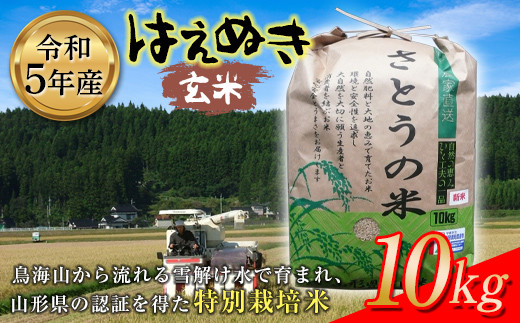 令和5年産 はえぬき 玄米10kg 特別栽培米 F2Y-3651 1081967 - 山形県山形県庁