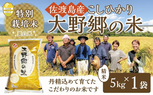 令和５年産】佐渡島産 特別栽培米こしひかり「大野郷の米」 精米