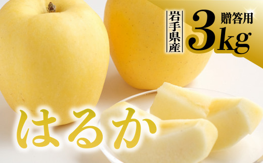 【先行予約】令和6年産 りんご はるか 贈答用 3kg(9‐11玉) 岩手県 金ケ崎町産 12月上旬発送予定 リンゴ フルーツ くだもの 林檎  1048368 - 岩手県金ケ崎町