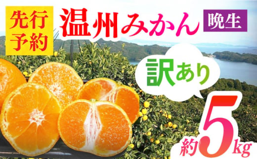 【先行予約】【訳あり】長崎県産 温州みかん（晩生） 5kg 長崎県/大将農園 [42AOAA006] みかん ミカン 温州みかん 温州 柑橘 晩生 果物 フルーツ 長崎 犬 猫 動物保護 支援 保護犬 保護猫 1047138 - 長崎県長崎県庁