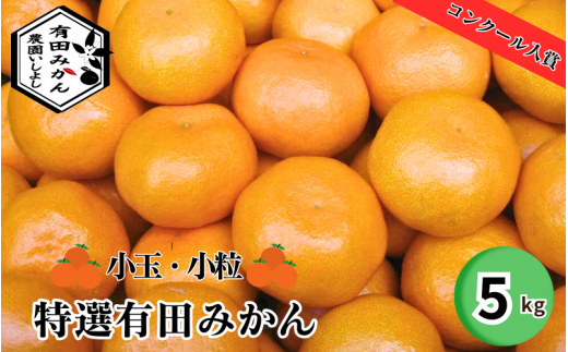 有田みかん【創業120年農家直送】 5kg 小玉・小粒サイズ ※2024年11月