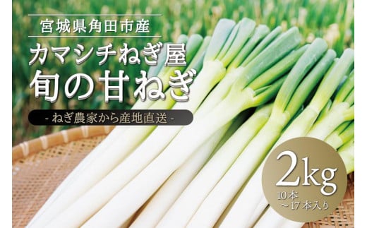 甘ねぎ 2kg(約10本〜17本) ネギ 葱 野菜 やさい すき焼き うどん 味噌汁 みそ汁 チャーハン 産地直送 ご当地 人気 おすすめ 新鮮 お取り寄せ 先行予約 旬 宮城 角田