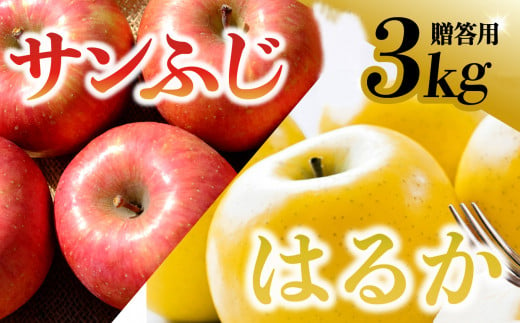 【先行予約】令和6年産 りんご サンふじ×はるか 贈答用 3kg（計8～10個） 岩手県 金ケ崎町産 12月上旬発送予定 1048369 - 岩手県金ケ崎町