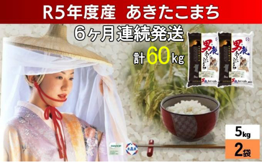 お待たせしました！令和5年度新米あきたこまち 精米20kg小分けなし - 米