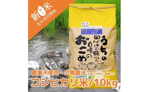 令和5年産新米・先行受付】農薬不使用 コシヒカリ米 合鴨農法 10kg