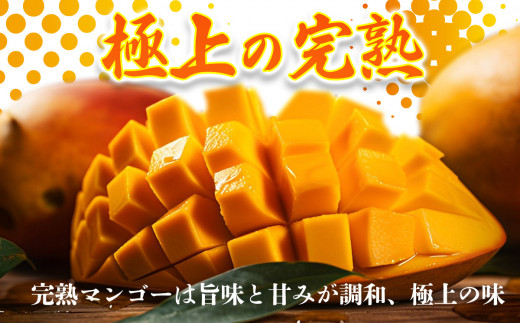 【2024年発送】沖縄県糸満産の「濃厚アップルマンゴー」2kg　オリジナル贈答用化粧箱入り　生産者：ゆいぐくるマンゴー|ゆいぐくるmango