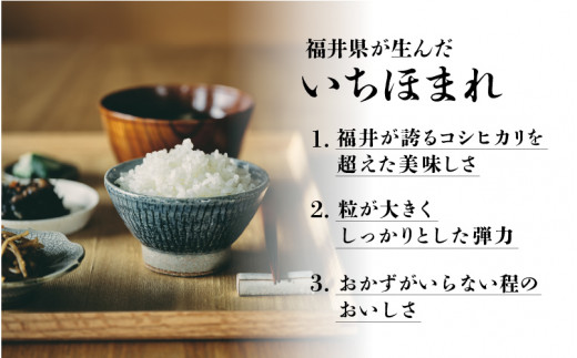 【新米・先行予約】【令和5年産】いちほまれ 15kg　2023年10月からお届け [B-02010]