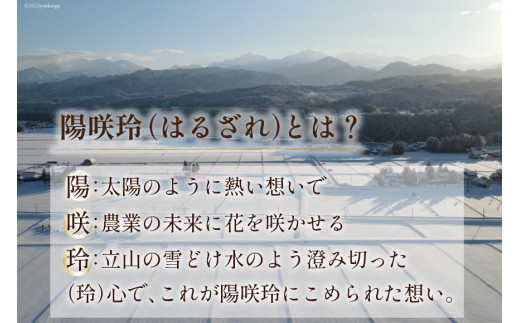 特別栽培米 コシヒカリ ヒロシノキモチ 精米 5kg [陽咲玲 富山県 立山