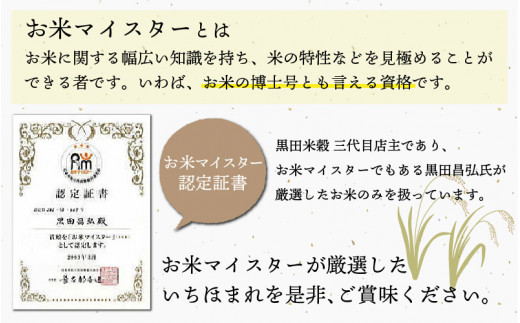 【新米】【令和5年産】【12月17日決済分まで年内配送】いちほまれ 15kg　2023年10月からお届け [B-02010]