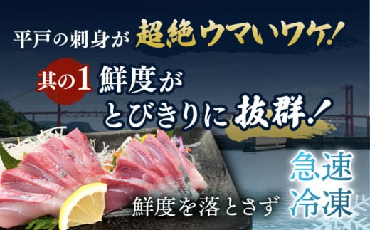 平戸市 鮮魚 ブロック 3種 計約16.8kg （約1.4kg/回）百旬館 