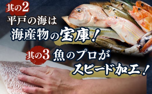 平戸市 鮮 魚 ブロック 3種 計約4.2kg （約1.4kg/回）百旬館 