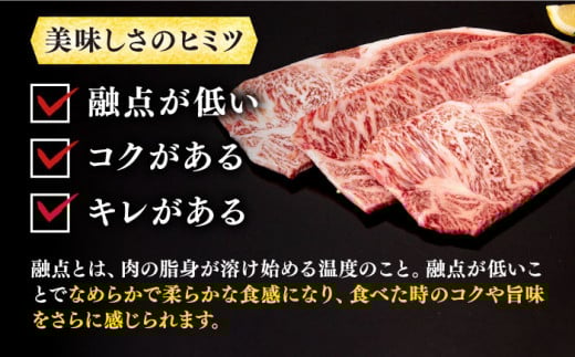ステーキ 人気 和牛  壱岐牛 希少 柔らかい やわらかい 贈り物 ギフト 