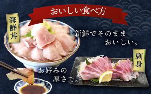 平戸市 鮮魚 ブロック 3種 計約16.8kg （約1.4kg/回）百旬館 