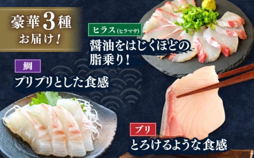平戸市 鮮 魚 ブロック 3種 計約4.2kg （約1.4kg/回）百旬館 