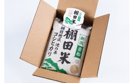 【定期便：8ヶ月連続でお届け】【令和5年産米】新潟県岩船産 棚田米コシヒカリ 玄米10kg ＋  棚田米コシヒカリのパックごはん(150g×1個)×8ヶ月 1067043