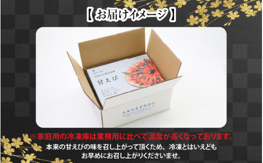 まずはおひとつ♪「共栄丸」直送船内瞬間冷凍 甘えび 約550g [A-2383