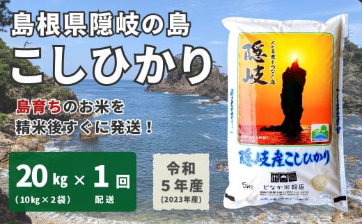 1706 【令和5年産】隠岐産 こしひかり 玄米 20kg（10kg×2袋） - 島根県