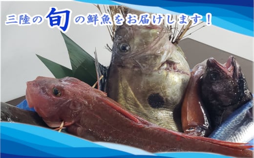 三陸の「旬」の鮮魚をお届け!