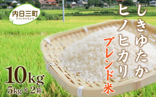 Wブレンド米 10kg （5kg×2袋） しきゆたか ヒノヒカリ 山口 県産 米 無洗米 （精米まで一貫加工）好評につき完売！