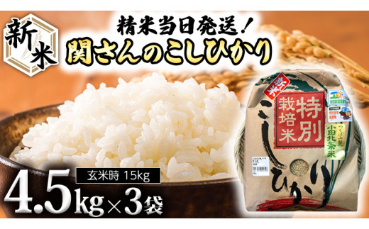 特別栽培米 》 令和5年産 精米日出荷 関さんの「 こしひかり 」 4.5kg ...