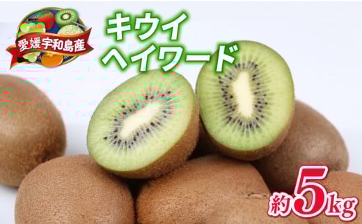 キウイ フルーツ 5kg 吉田農園 家庭用 グリーンキウイ ヘイワード キウイフルーツ デザート スイーツ 果物 農家直送 産地直送 数量限定 国産 愛媛 宇和島 F014-160001 1278522 - 愛媛県宇和島市