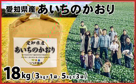 No.191 【令和6年産 新米】愛知県産あいちのかおり　18kg【申込受付は11月末まで】 ／ お米 精米 大粒 あっさり 愛知県 特産品