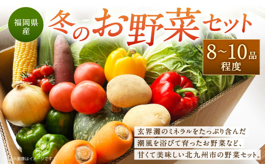 福岡県 北九州市産 冬のお野菜セット 8～10品程度