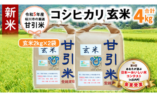 新米 令和5年産 桜川市 の 厳選 甘引米 コシヒカリ 玄米 4kg 桜川市産 玄米 コシヒカリ こしひかり 米 こめ コメ 茨城県 いばらき  有機肥料 [BA005sa]|鈴木隆