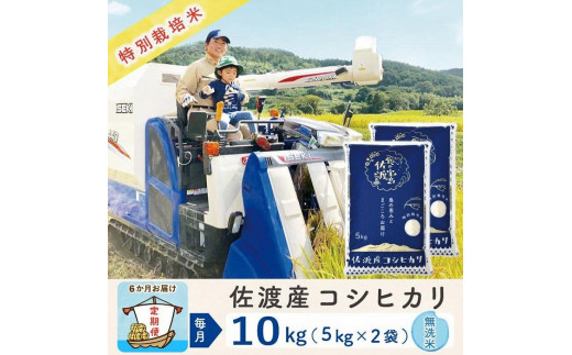 【新米・先行予約】【6か月定期便】 佐渡島産 コシヒカリ 無洗米10Kg 特別栽培米