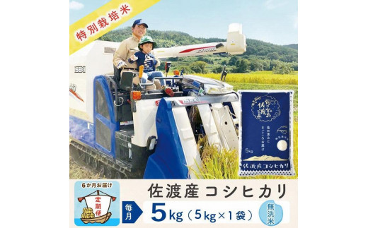 ふるさと納税 新潟県 上越市 定期便連続12ヶ月発送（5ｋｇ×12回分