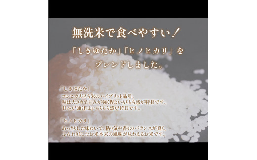 定期便】Wブレンド米 山口 県産 しきゆたか ヒノヒカリ 10kg 毎月12回