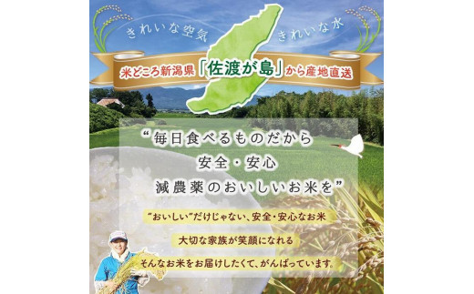 【新米・先行予約】【6か月定期便】 佐渡島産 ミルキークイーン 無洗米5Kg 特別栽培米