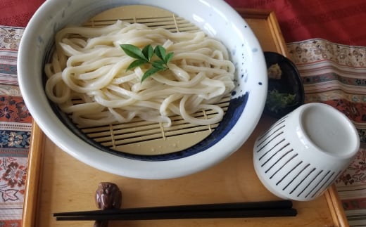 【思いやり型返礼品】八城うどん ギフトセットL 生うどん スープ付 15袋