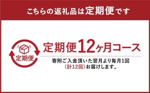 定期便12ヶ月》ひとたま（160個）-