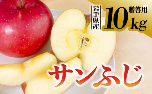 【先行予約】 りんご サンふじ 贈答用 10kg 岩手県 金ケ崎町産 12月上旬発送予定