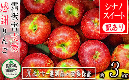 令和６年度先行予約品】 りんご 3Kg （７〜１５玉） シナノスイート