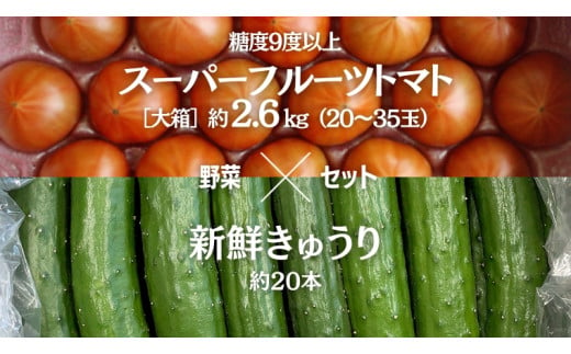 【2024年2月上旬発送開始】スーパーフルーツトマト 大箱 約2.6kg （20〜35玉）糖度9度以上 ＆ 新鮮 きゅうり 約20本 野菜セット とまと トマト 胡瓜 キュウリ 野菜 サラダ [BC062sa] 664395 - 茨城県桜川市