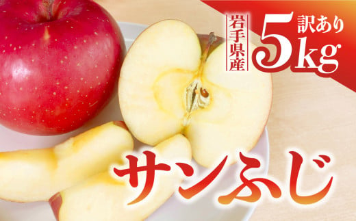 【先行予約】令和6年産 りんご サンふじ 訳あり 5kg  岩手県 金ケ崎町産 11月下旬発送予定 1051213 - 岩手県金ケ崎町